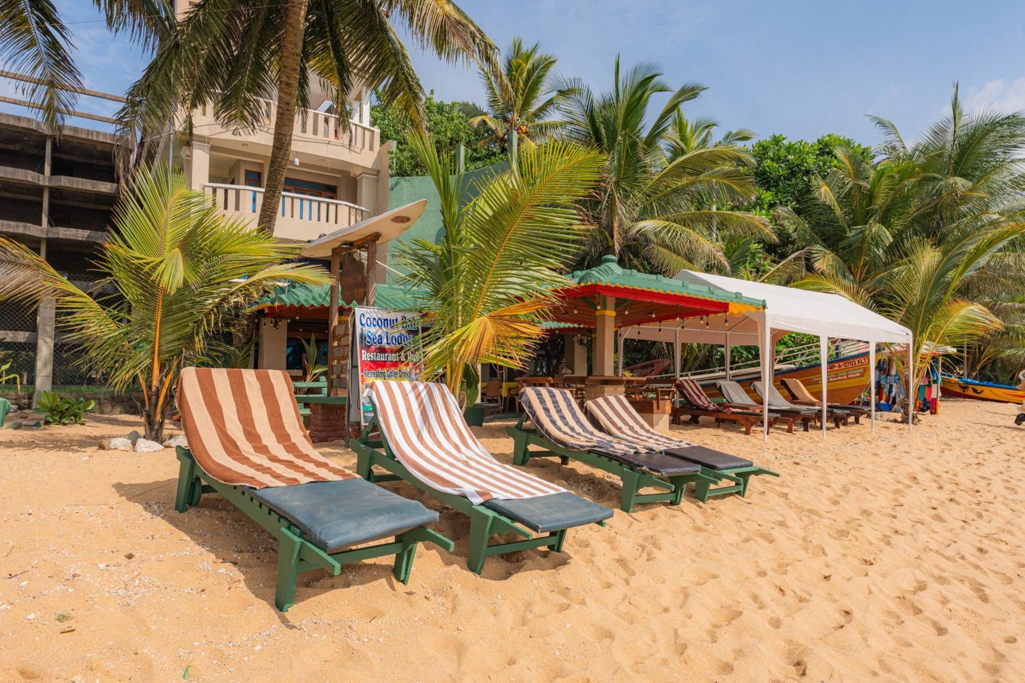Hotel Coconut Bar Sea Lodge بيروفالا المظهر الخارجي الصورة
